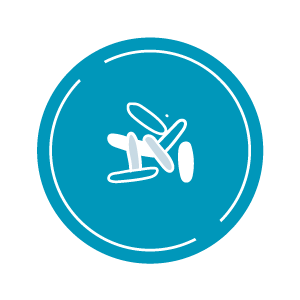 福氏志賀氏菌 icon