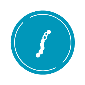 白色念珠菌 icon