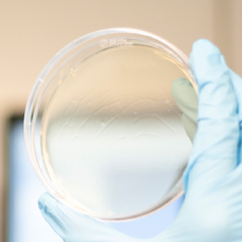 Germ Repellent plastic surface photo